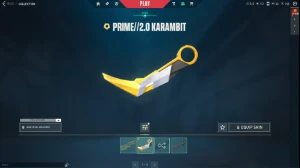 F/A 54 skins / Prime//2.0 Karambit / Reaver Vandal - Valorant
