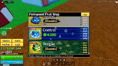 Conta Blox Fruits — Endgame / V4 / Frutas Permanentes / Ski - Roblox