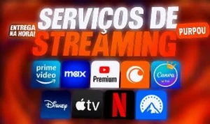 Combo Streaming / Netflix, Prime, Hbo, Disney+, Etc. - Assinaturas e Premium