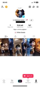 Conta Do Tiktok Monetizada +15,8K Seguidores