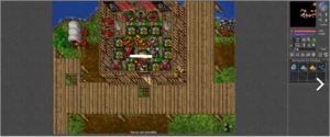Vendo MS 114 ml 79 com itens full set/addon summoner - Tibia