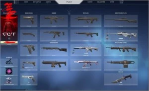 Valorant Só SKIN top