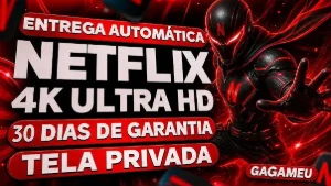 Netflix Tela 4K Privada 30 Dias 1084278932