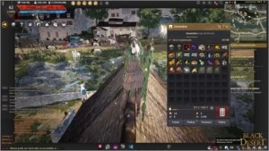 CONTA BDO P2W WITCH SUCC - Black Desert