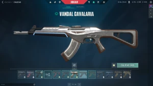 Conta valorant com várias skins