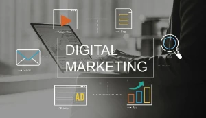 Mais De 120Gb De Cursos Sobre Marketing Digital - Others