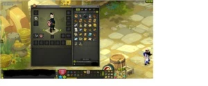 conta dofus