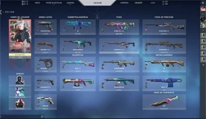 Conta Valorant e LoL (desde o beta), com várias skins.