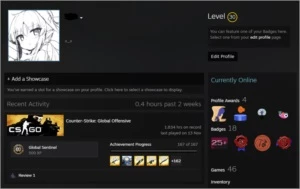 CONTA CS:GO 18 ANOS PRIME SUPREMO - Counter Strike