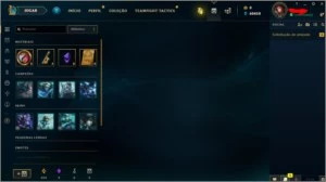 Conta Smurf - level 30 - 60k essência - não confirmado - League of Legends LOL