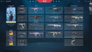 Conta Valorant +1k900 gastos