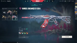 Conta valorant mais de 800 reias gastos(sou o único dono)