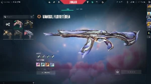 Conta valorant mais de 800 reias gastos(sou o único dono)