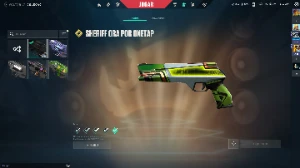 Conta valorant mais de 800 reias gastos(sou o único dono)