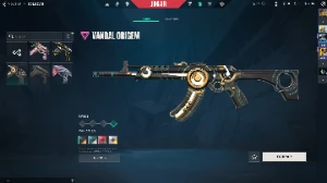 Conta valorant mais de 800 reias gastos(sou o único dono)