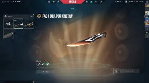 Conta valorant mais de 800 reias gastos(sou o único dono)