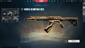 Conta valorant mais de 800 reias gastos(sou o único dono)