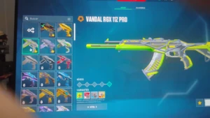 Conta Valorant/ Vandal champions 23 + Varias skins