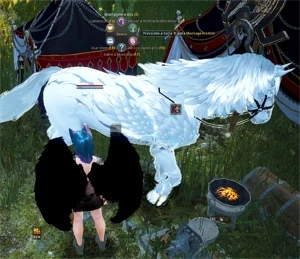 Valquiria 603 GS com titulo raro, muitos trajes e pets - Black Desert