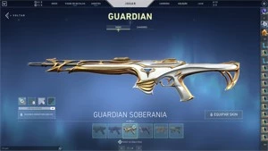 CONTA VALORANT MUITAS SKINS - 1,1K Gastos