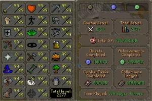 Maxed Osrs - Runescape