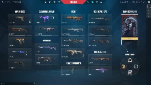 Conta De Valorant Full Acesso Com Skins / +1000R$ Gastos