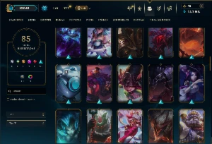 Bronze 2 com TODOS os Champs e 85 Skins ( MONO SUP ) - League of Legends LOL