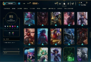 Bronze 2 com TODOS os Champs e 85 Skins ( MONO SUP ) - League of Legends LOL