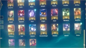 Conta nv 73, +73 CHAMP, + SKINS, elo prata 4 com BORDA . - League of Legends LOL