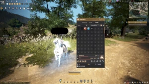 Conta Black Desert Gs736 Não Steam