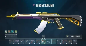 Conta Valorant Full Acesso, +400R$ Gastos, Faca Xenohunter