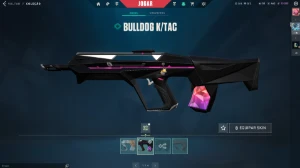Conta com Faca Blade + Vandal Ion + Phantom Reaver e MT+ - Valorant