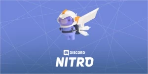 Discord Nitro Gaming - Outros