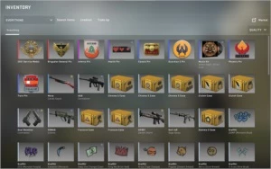 CONTA PRIME CS GO + 7 BROCHES + 1 MEDALHA + 4000HORAS + ELO - Counter Strike