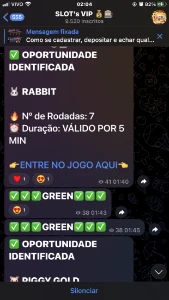🐯Slots Vip🐯 - Outros
