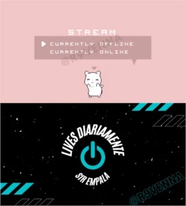 PAINÉIS E BANNER DE OFFLINE PARA TWITCH - Serviços Digitais