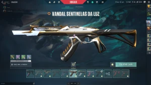 Conta Valorant Dima1 com mais de 10 skins