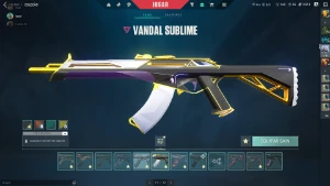 Conta Valorant Dima1 com mais de 10 skins