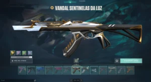 Conta valorant com bastante skins