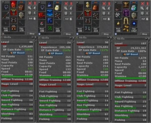 KNIGHT  107 LUMINERA // PALADIN 46 MENERA - Tibia