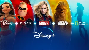 Disney - Tela Privada Só Sua Por 30 Dias - Premium
