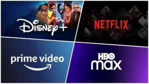 NETFLIX / DISNEY + / PRIME VIDEO / HBO MAX - Assinaturas e Premium
