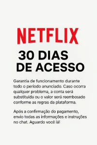 Netflix – 30 Dias de Acesso - Premium