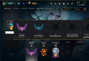 Mestre com 55 Champs e 7 Skins ( 21 PDL )