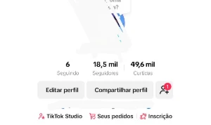 Conta No Tiktok Com 18,560 Mil Seguidores