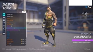 OVERWATCH 2 - 51 visual lendário + HEARTHSTONE 78 lendárias - Blizzard