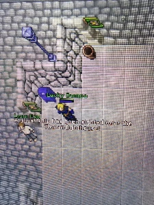 Master Sorcerer 195 e Royal Paladin 156 e EK 90 Mundo Pacera - Tibia