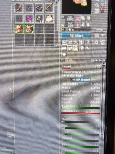 Master Sorcerer 195 e Royal Paladin 156 e EK 90 Mundo Pacera - Tibia