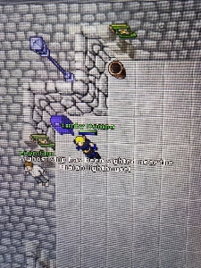 Master Sorcerer 195 e Royal Paladin 156 e EK 90 Mundo Pacera - Tibia
