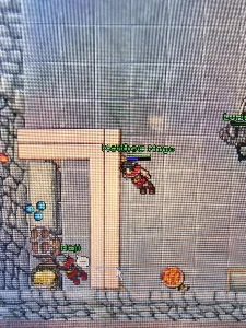 Master Sorcerer 195 e Royal Paladin 156 e EK 90 Mundo Pacera